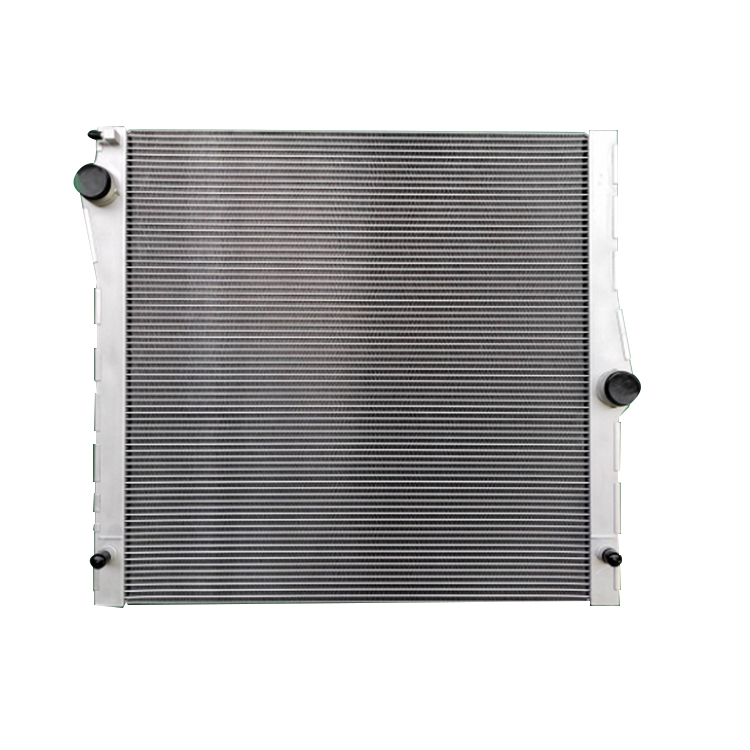 Radiatore automatico BMW X5 E70 3.0 4.8 2006-2013