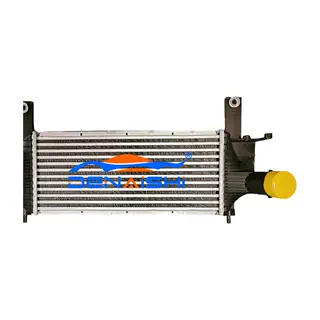 Intercooler per Pathfinder R51 05