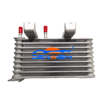 Radiatore per Toyota Highlander 20-21